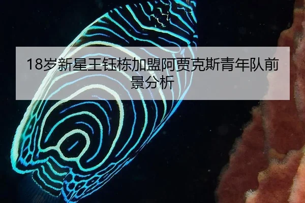 sui-xin-xing-wang-yu-dong-jia-meng-a-jia-ke-si-qing-nian-dui-qian-jing-fen-xi-1-326.jpg