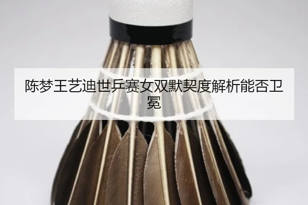 chen-meng-wang-yi-di-shi-ping-sai-nv-shuang-mo-qi-du-jie-xi-neng-fou-wei-mian-1-319.jpg